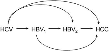 G-Computation to Causal Mediation Analysis With Sequential Multiple Mediators—Investigating the Vulnerable Time Window of HBV Activity for the Mechanism of HCV Induced Hepatocellular Carcinoma